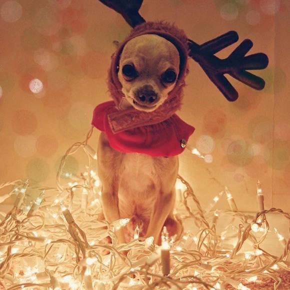 Meet your Posher, Karen - Picture 1 of 1